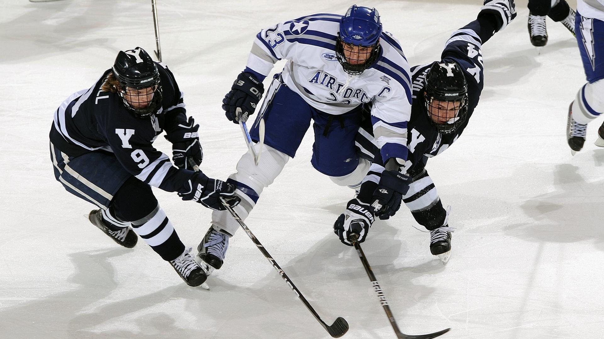 “宠物兔障碍越栏赛” 微型栏杆萌态十足
